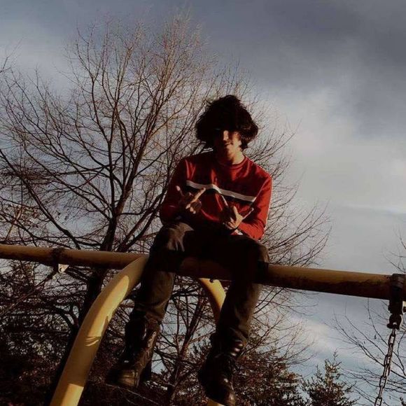 Meet your Posher, Luke - Picture 1 of 1